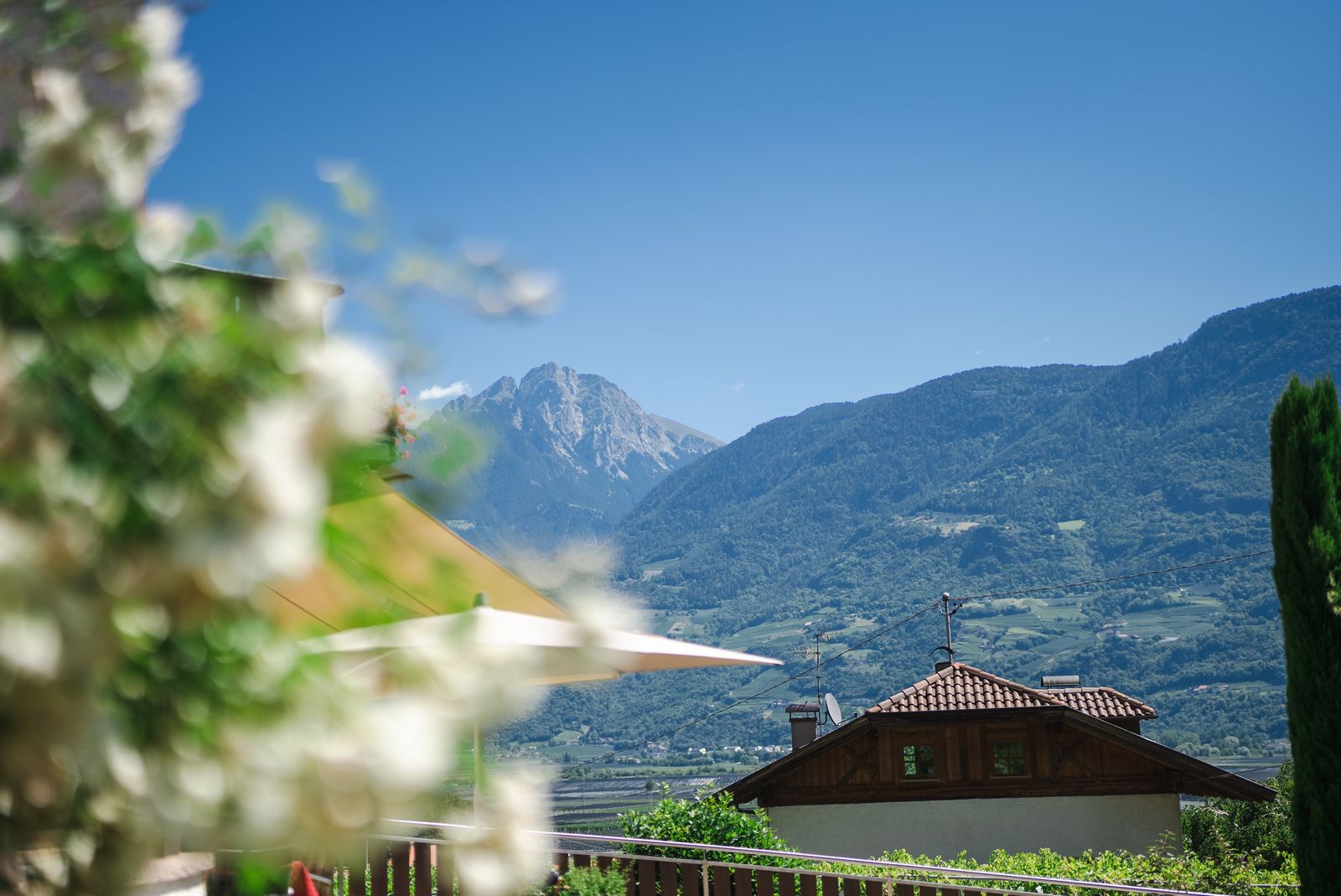 Blick auf die Berge rund um Meran
